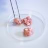 Close up view of cultivated meat samples being picked with a pair of precision tweezers